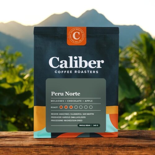 Peru Norte Beans Bag/340 g