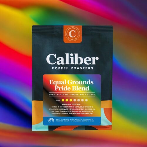 Equal Grounds Blend Beans Bag/340 g